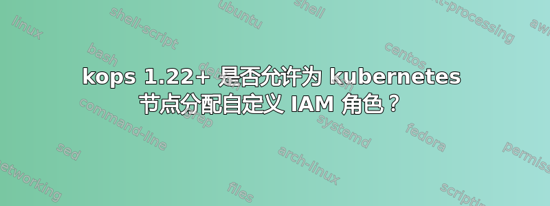 kops 1.22+ 是否允许为 kubernetes 节点分配自定义 IAM 角色？