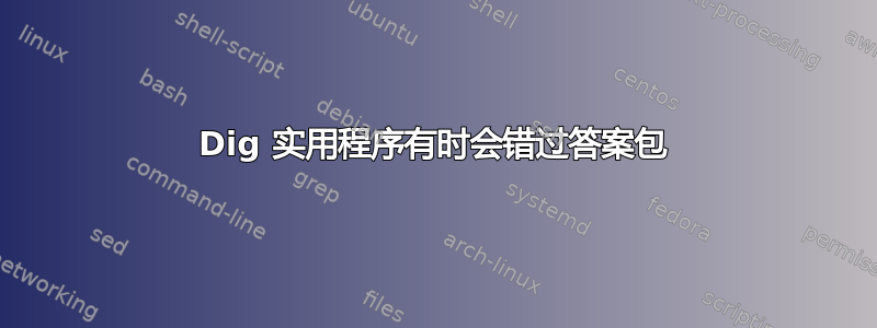 Dig 实用程序有时会错过答案包