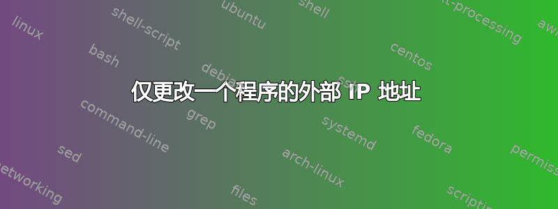 仅更改一个程序的外部 IP 地址