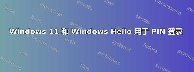 Windows 11 和 Windows Hello 用于 PIN 登录