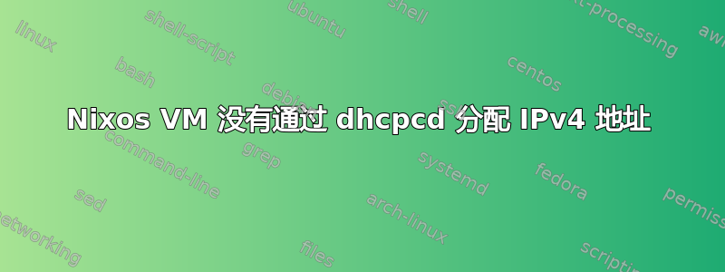 Nixos VM 没有通过 dhcpcd 分配 IPv4 地址