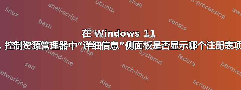 在 Windows 11 中，控制资源管理器中“详细信息”侧面板是否显示哪个注册表项？