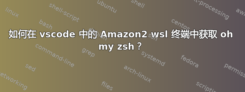 如何在 vscode 中的 Amazon2 wsl 终端中获取 oh my zsh？