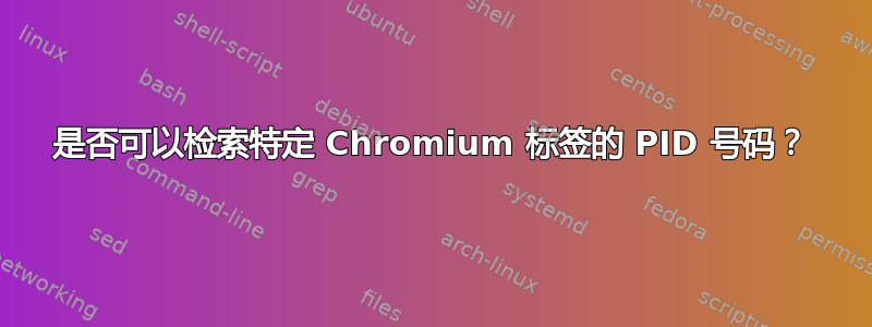 是否可以检索特定 Chromium 标签的 PID 号码？