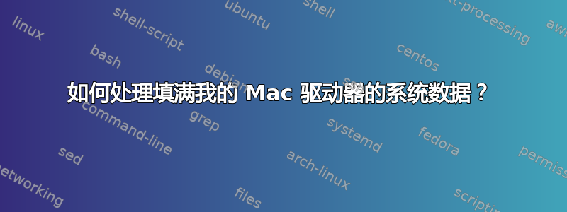 如何处理填满我的 Mac 驱动器的系统数据？