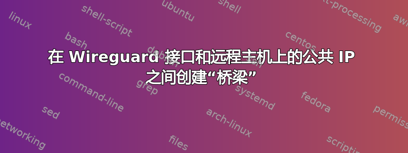 在 Wireguard 接口和远程主机上的公共 IP 之间创建“桥梁”