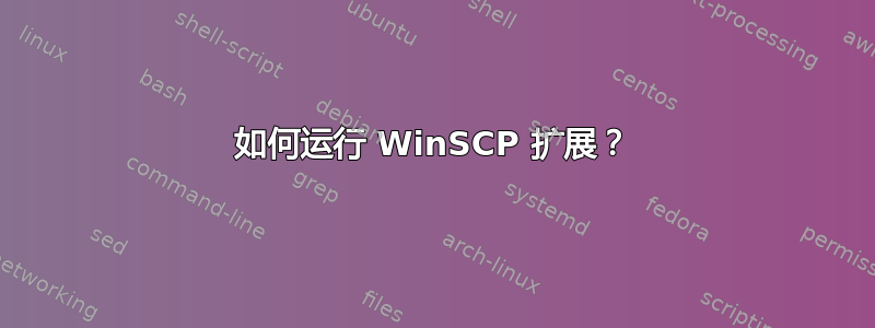 如何运行 WinSCP 扩展？