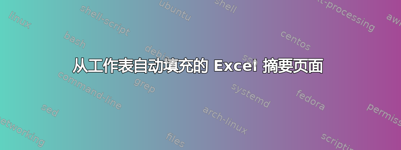 从工作表自动填充的 Excel 摘要页面