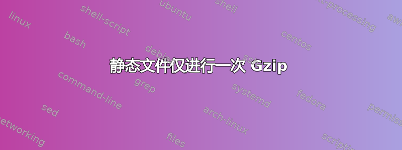 静态文件仅进行一次 Gzip