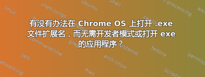 有没有办法在 Chrome OS 上打开 .exe 文件扩展名，而无需开发者模式或打开 exe 的应用程序？