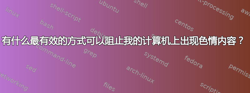 有什么最有效的方式可以阻止我的计算机上出现色情内容？