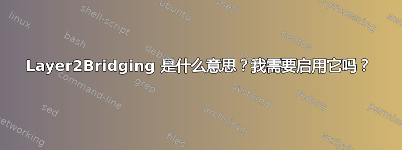 Layer2Bridging 是什么意思？我需要启用它吗？