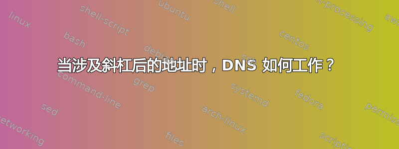 当涉及斜杠后的地址时，DNS 如何工作？