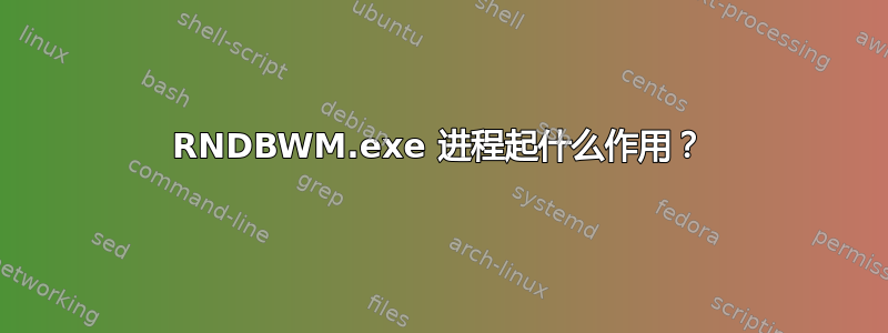 RNDBWM.exe 进程起什么作用？