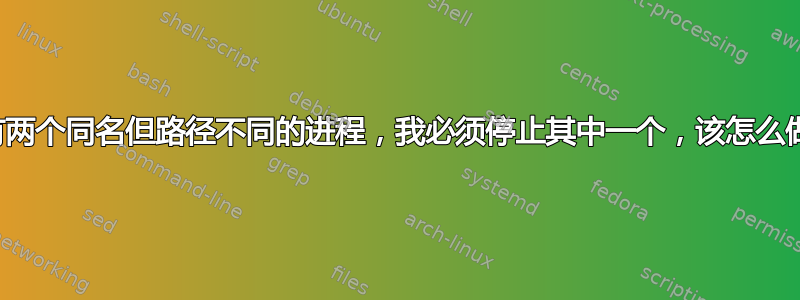 我在任务管理器中有两个同名但路径不同的进程，我必须停止其中一个，该怎么做？请提供详细命令