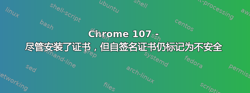 Chrome 107 - 尽管安装了证书，但自签名证书仍标记为不安全