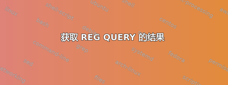 获取 REG QUERY 的结果