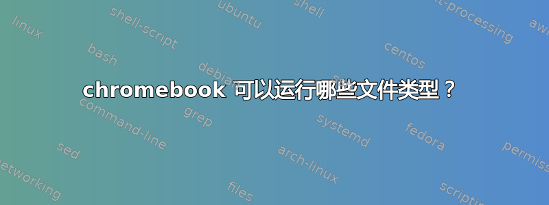 chromebook 可以运行哪些文件类型？