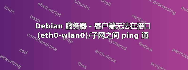 Debian 服务器 - 客户端无法在接口 (eth0-wlan0)/子网之间 ping 通