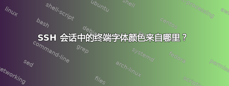 SSH 会话中的终端字体颜色来自哪里？