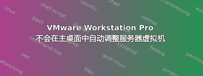 VMware Workstation Pro 不会在主桌面中自动调整服务器虚拟机