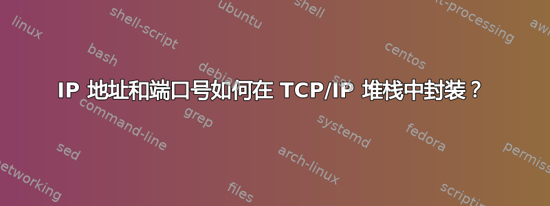 IP 地址和端口号如何在 TCP/IP 堆栈中封装？