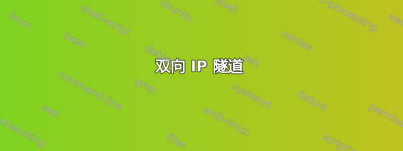 双向 IP 隧道