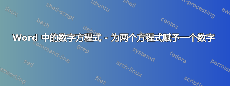 Word 中的数字方程式 - 为两个方程式赋予一个数字