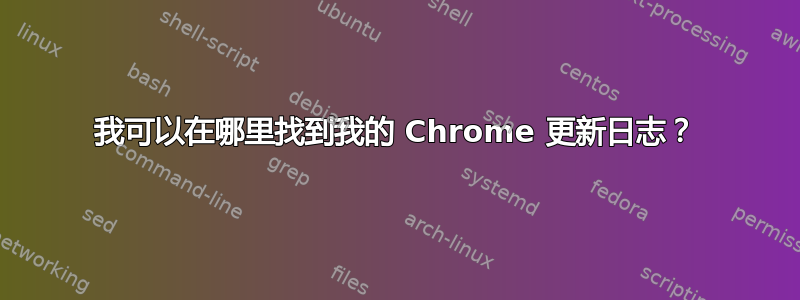 我可以在哪里找到我的 Chrome 更新日志？