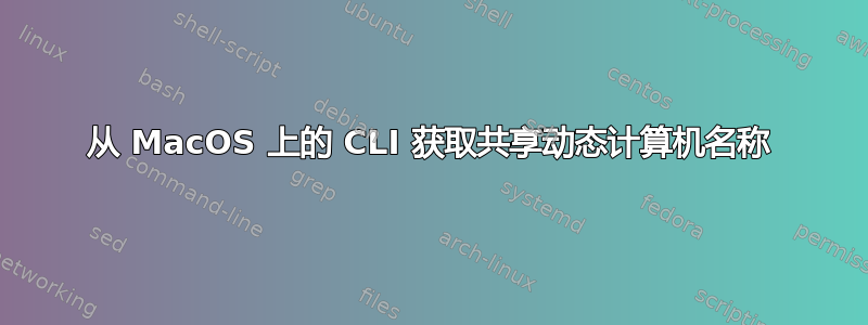 从 MacOS 上的 CLI 获取共享动态计算机名称