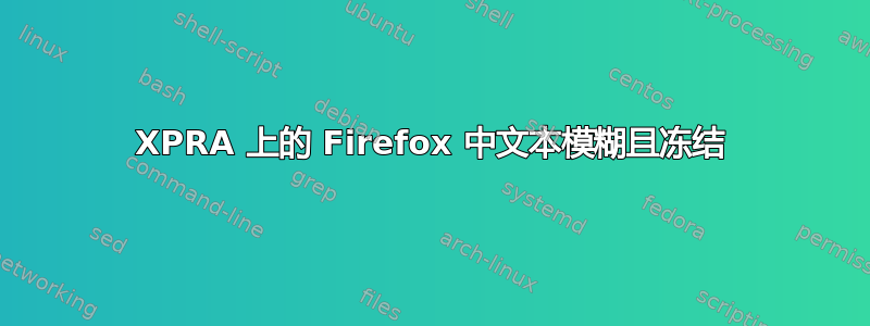 XPRA 上的 Firefox 中文本模糊且冻结