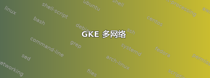 GKE 多网络