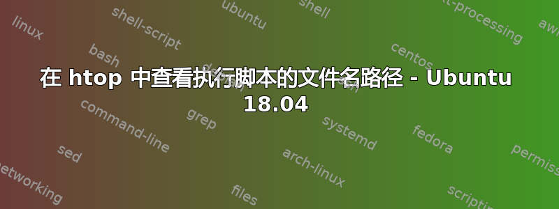 在 htop 中查看执行脚本的文件名路径 - Ubuntu 18.04