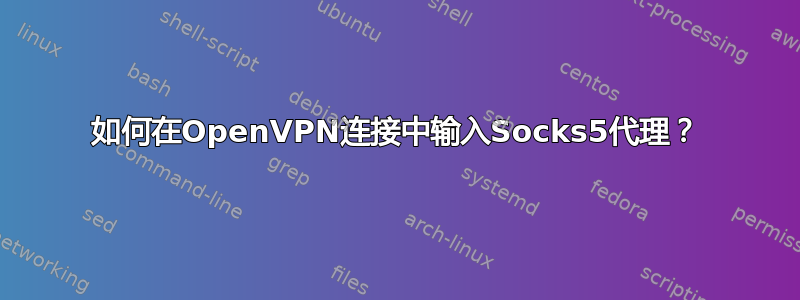 如何在OpenVPN连接中输入Socks5代理？