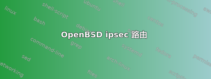 OpenBSD ipsec 路由