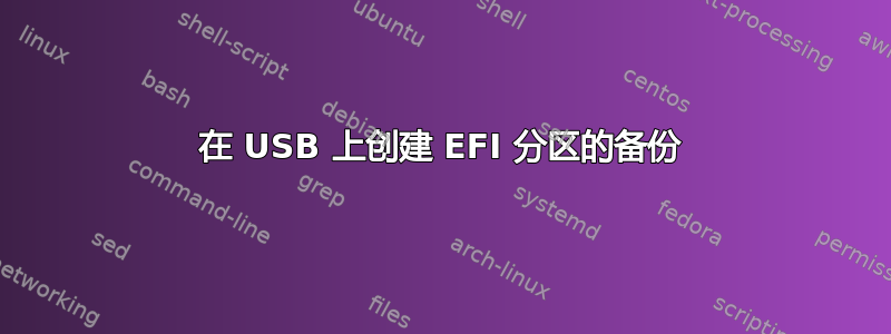 在 USB 上创建 EFI 分区的备份