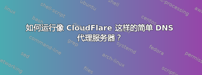 如何运行像 CloudFlare 这样的简单 DNS 代理服务器？