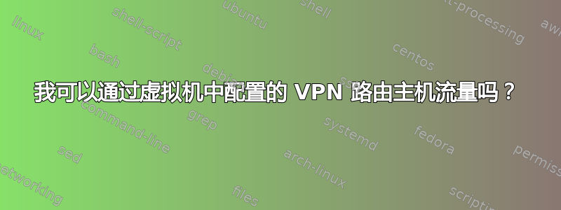 我可以通过虚拟机中配置的 VPN 路由主机流量吗？