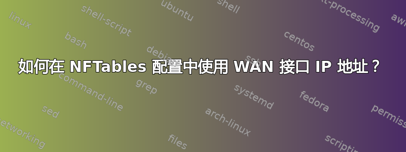 如何在 NFTables 配置中使用 WAN 接口 IP 地址？