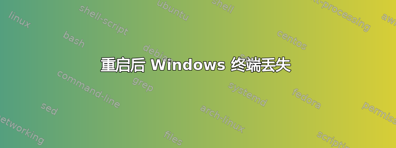 重启后 Windows 终端丢失