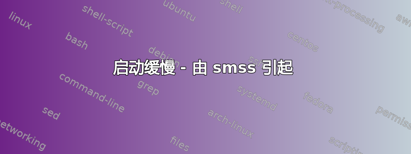 启动缓慢 - 由 smss 引起