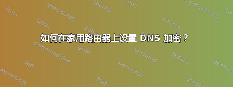 如何在家用路由器上设置 DNS 加密？