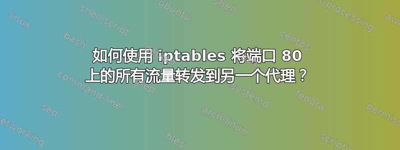 如何使用 iptables 将端口 80 上的所有流量转发到另一个代理？