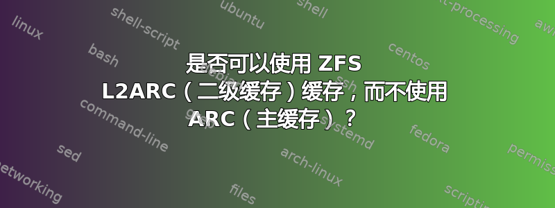 是否可以使用 ZFS L2ARC（二级缓存）缓存，而不使用 ARC（主缓存）？