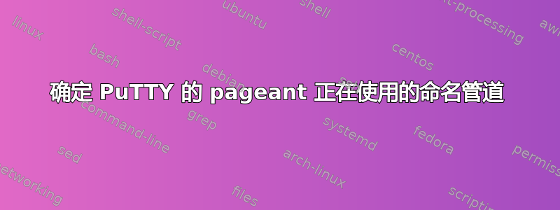 确定 PuTTY 的 pageant 正在使用的命名管道