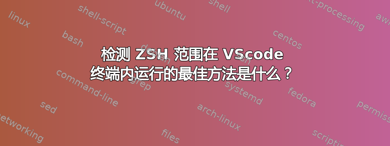 检测 ZSH 范围在 VScode 终端内运行的最佳方法是什么？