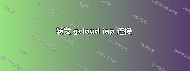 转发 gcloud iap 连接