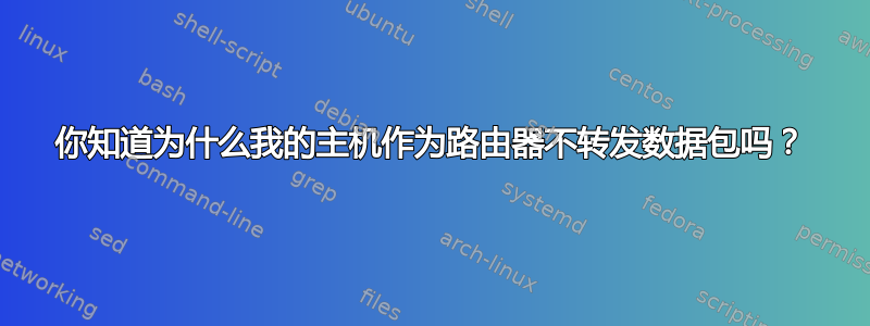 你知道为什么我的主机作为路由器不转发数据包吗？