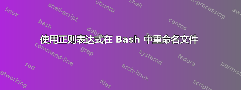 使用正则表达式在 Bash 中重命名文件