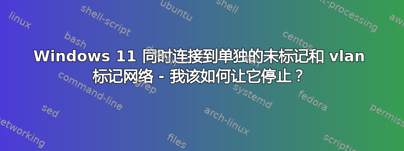 Windows 11 同时连接到单独的未标记和 vlan 标记网络 - 我该如何让它停止？